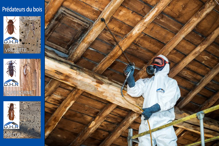 rénovation maison Moselle Sarreguemines - isolation combles Moselle Forbach - travaux toiture Moselle Thionville - couverture toiture zinc Moselle Metz - traitement humidité bâtiment Moselle Sarreguemines - étanchéité toiture Moselle Forbach - pose Velux Moselle Thionville - traitement charpente Moselle Metz - traitement façade et ravalement Moselle Sarreguemines - gouttières zinguerie Moselle Forbach - réparation toiture dégâts infiltration Moselle Thionville - démoussage toiture Moselle Metz - artisan rénovation local Moselle Sarreguemines - avis clients rénovation Moselle Forbach - chantier rénovation avant-après Moselle Thionville - devis rénovation maison Moselle Metz - expert rénovation thermique Moselle Sarreguemines - isolation laine soufflée Moselle Forbach - étanchéité membrane toiture Moselle Thionville