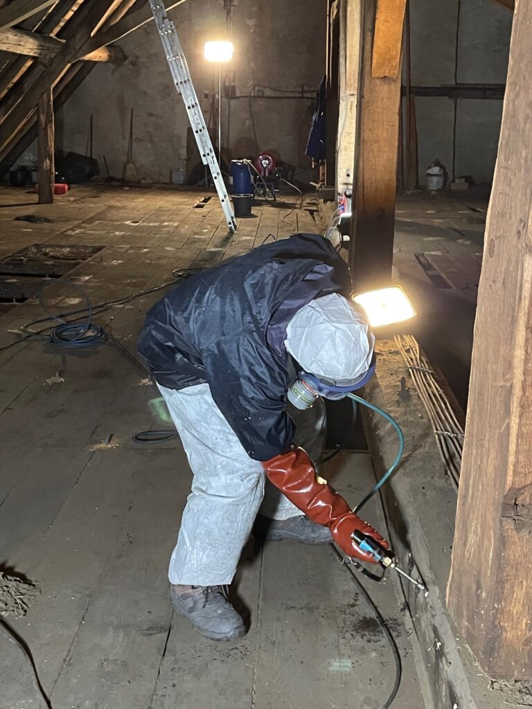 traitement charpente Moselle, entretien bois, protection charpente, termites, capricornes