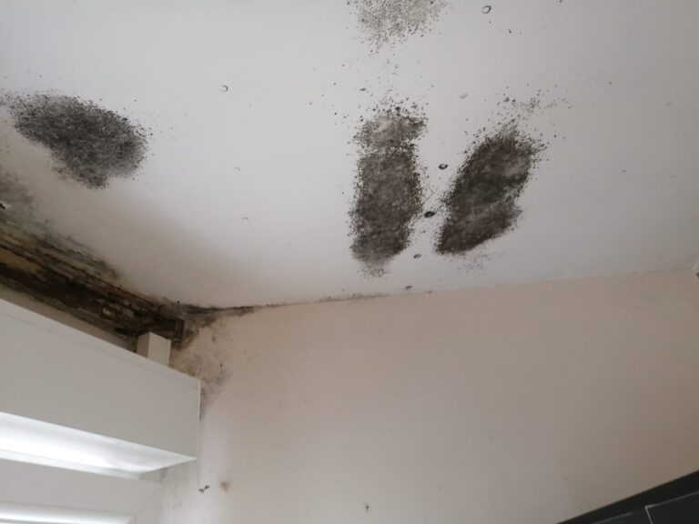 rénovation maison Moselle Sarreguemines - isolation combles Moselle Forbach - travaux toiture Moselle Thionville - couverture toiture zinc Moselle Metz - traitement humidité bâtiment Moselle Sarreguemines - étanchéité toiture Moselle Forbach - pose Velux Moselle Thionville - traitement charpente Moselle Metz - traitement façade et ravalement Moselle Sarreguemines - gouttières zinguerie Moselle Forbach - réparation toiture dégâts infiltration Moselle Thionville - démoussage toiture Moselle Metz - artisan rénovation local Moselle Sarreguemines - avis clients rénovation Moselle Forbach - chantier rénovation avant-après Moselle Thionville - devis rénovation maison Moselle Metz - expert rénovation thermique Moselle Sarreguemines - isolation laine soufflée Moselle Forbach - étanchéité membrane toiture Moselle Thionville