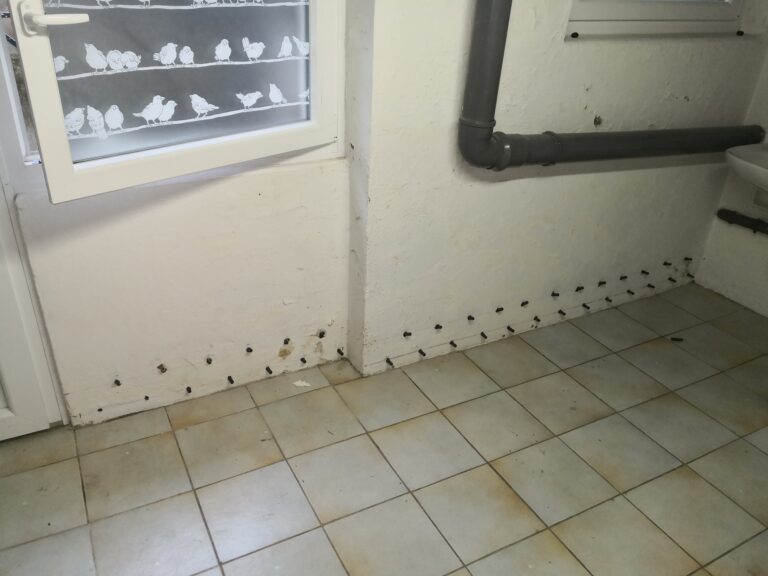 rénovation maison Moselle Sarreguemines - isolation combles Moselle Forbach - travaux toiture Moselle Thionville - couverture toiture zinc Moselle Metz - traitement humidité bâtiment Moselle Sarreguemines - étanchéité toiture Moselle Forbach - pose Velux Moselle Thionville - traitement charpente Moselle Metz - traitement façade et ravalement Moselle Sarreguemines - gouttières zinguerie Moselle Forbach - réparation toiture dégâts infiltration Moselle Thionville - démoussage toiture Moselle Metz - artisan rénovation local Moselle Sarreguemines - avis clients rénovation Moselle Forbach - chantier rénovation avant-après Moselle Thionville - devis rénovation maison Moselle Metz - expert rénovation thermique Moselle Sarreguemines - isolation laine soufflée Moselle Forbach - étanchéité membrane toiture Moselle Thionville