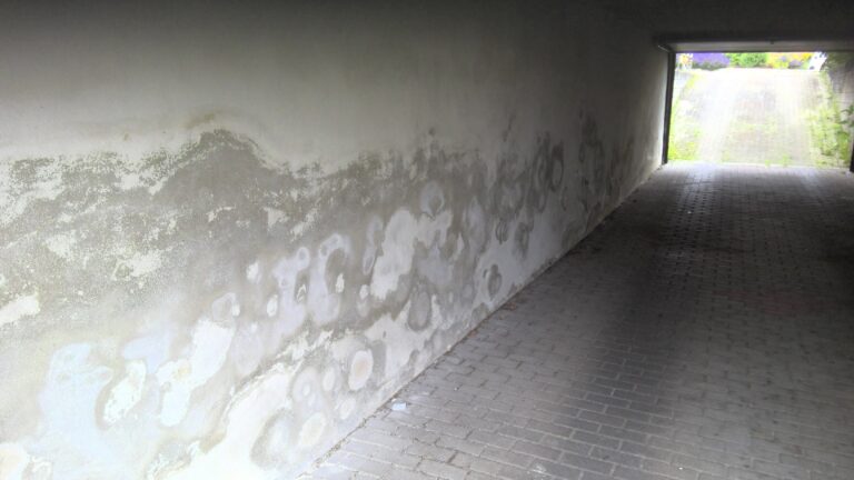 rénovation maison Moselle Sarreguemines - isolation combles Moselle Forbach - travaux toiture Moselle Thionville - couverture toiture zinc Moselle Metz - traitement humidité bâtiment Moselle Sarreguemines - étanchéité toiture Moselle Forbach - pose Velux Moselle Thionville - traitement charpente Moselle Metz - traitement façade et ravalement Moselle Sarreguemines - gouttières zinguerie Moselle Forbach - réparation toiture dégâts infiltration Moselle Thionville - démoussage toiture Moselle Metz - artisan rénovation local Moselle Sarreguemines - avis clients rénovation Moselle Forbach - chantier rénovation avant-après Moselle Thionville - devis rénovation maison Moselle Metz - expert rénovation thermique Moselle Sarreguemines - isolation laine soufflée Moselle Forbach - étanchéité membrane toiture Moselle Thionville